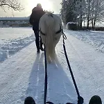 Pferdehof Thomayer Lägenhet *