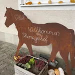 Pferdehof Thomayer Strasswalchen