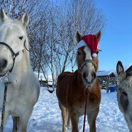 Lägenhet Pferdehof Thomayer