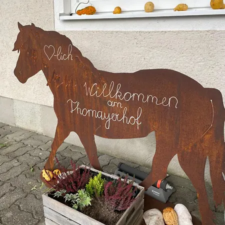 Pferdehof Thomayer Strasswalchen