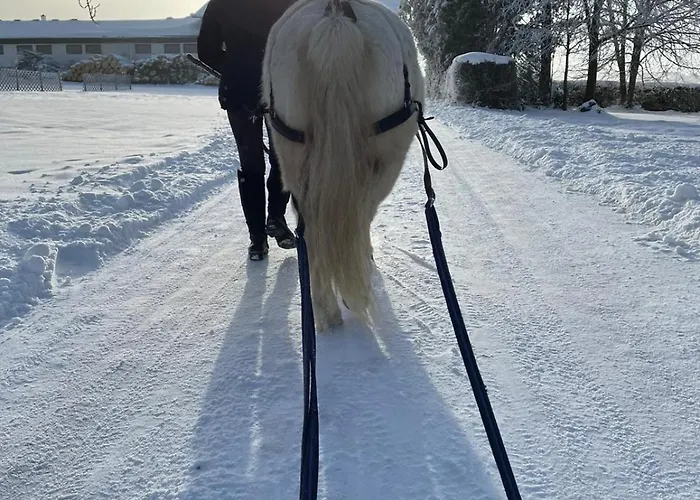 Pferdehof Thomayer 公寓 *