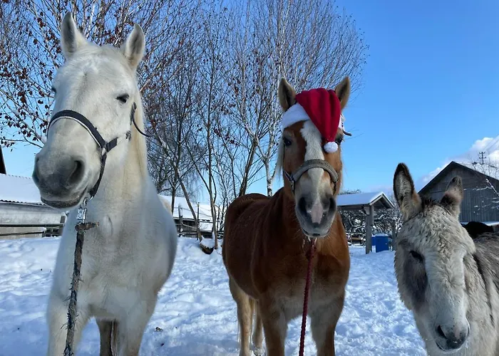 Appartement Pferdehof Thomayer