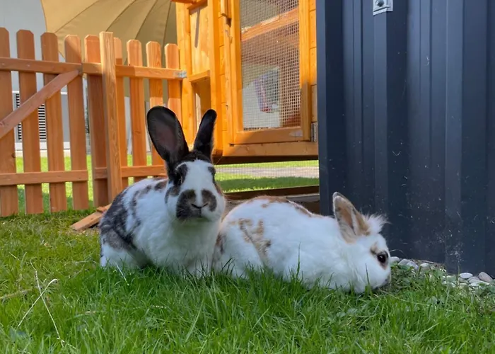 Pferdehof Thomayer Appartement Straßwalchen