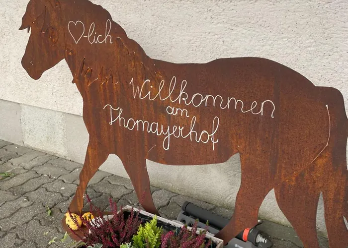 Pferdehof Thomayer Strasswalchen